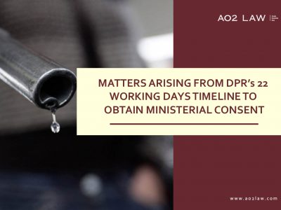 Matters Arising from DPR’s 22 Working Days Timeline to Obtain Ministerial Consent