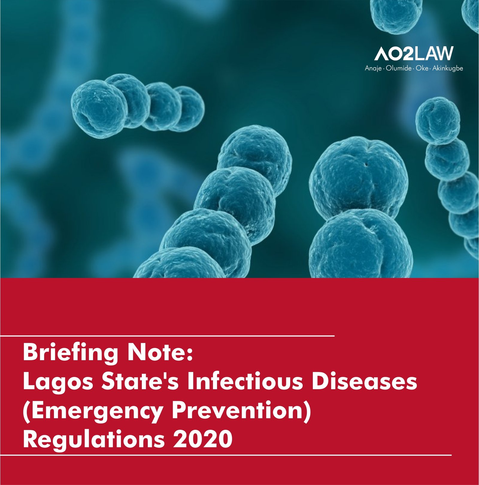 Briefing Note- Lagos State’s Infectious Diseases (Emergency Prevention) Regulations 2020 cover page